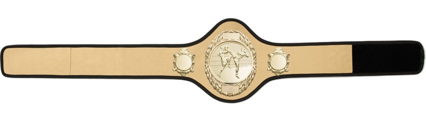 THAI BOXING CHAMPIONSHIP BELT-PRO286/G/TBOG-10+ COLOURS